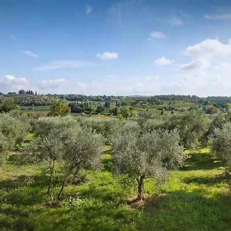 Olivi Panorama *