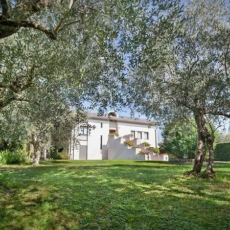 Olivi Panorama * Lazise